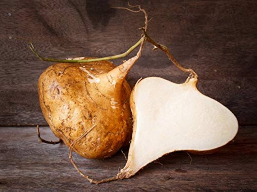 Pachyrhizus erosus Yam Bean seeds for planting in vegetable patch and urban garden