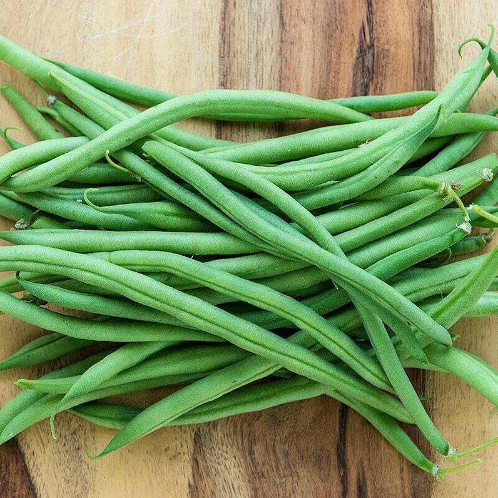 Yardlong bean Vigna unguiculata seeds for planting