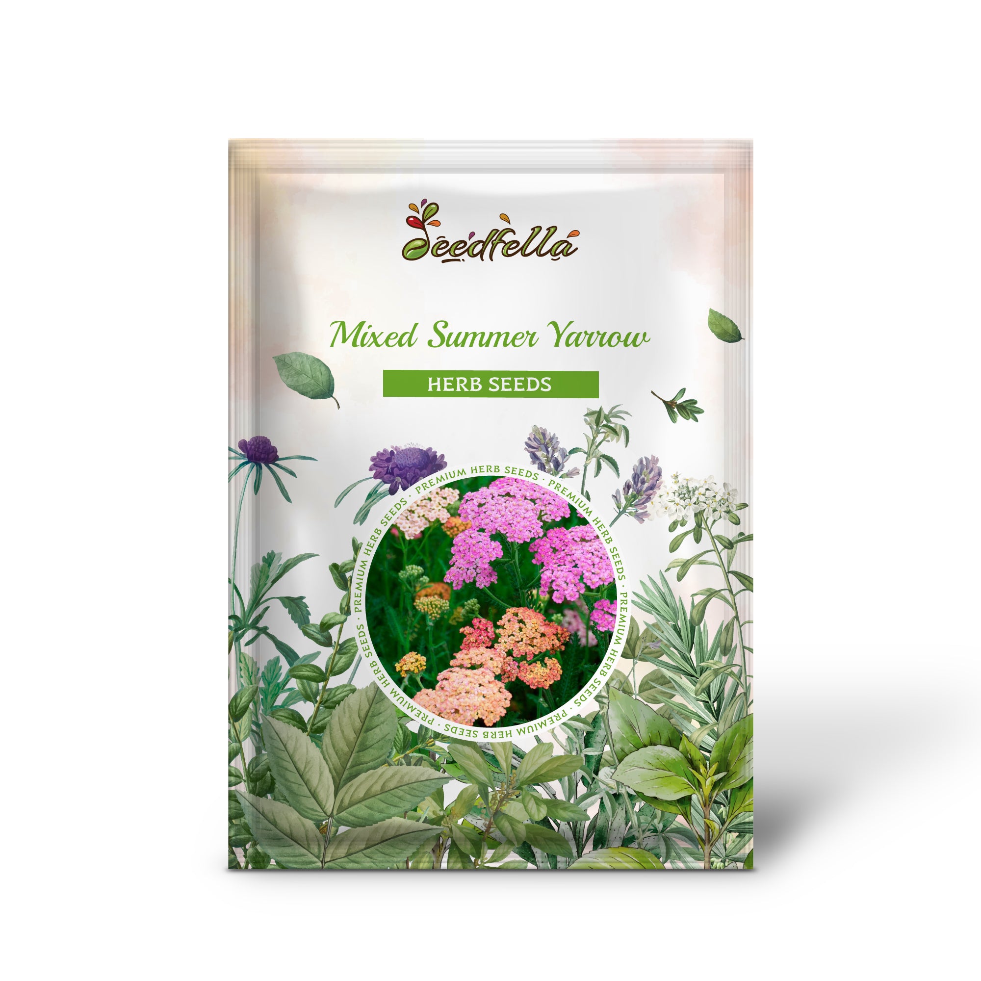 Premium Non-GMO Mixed Yarrow Flower Seeds Pack