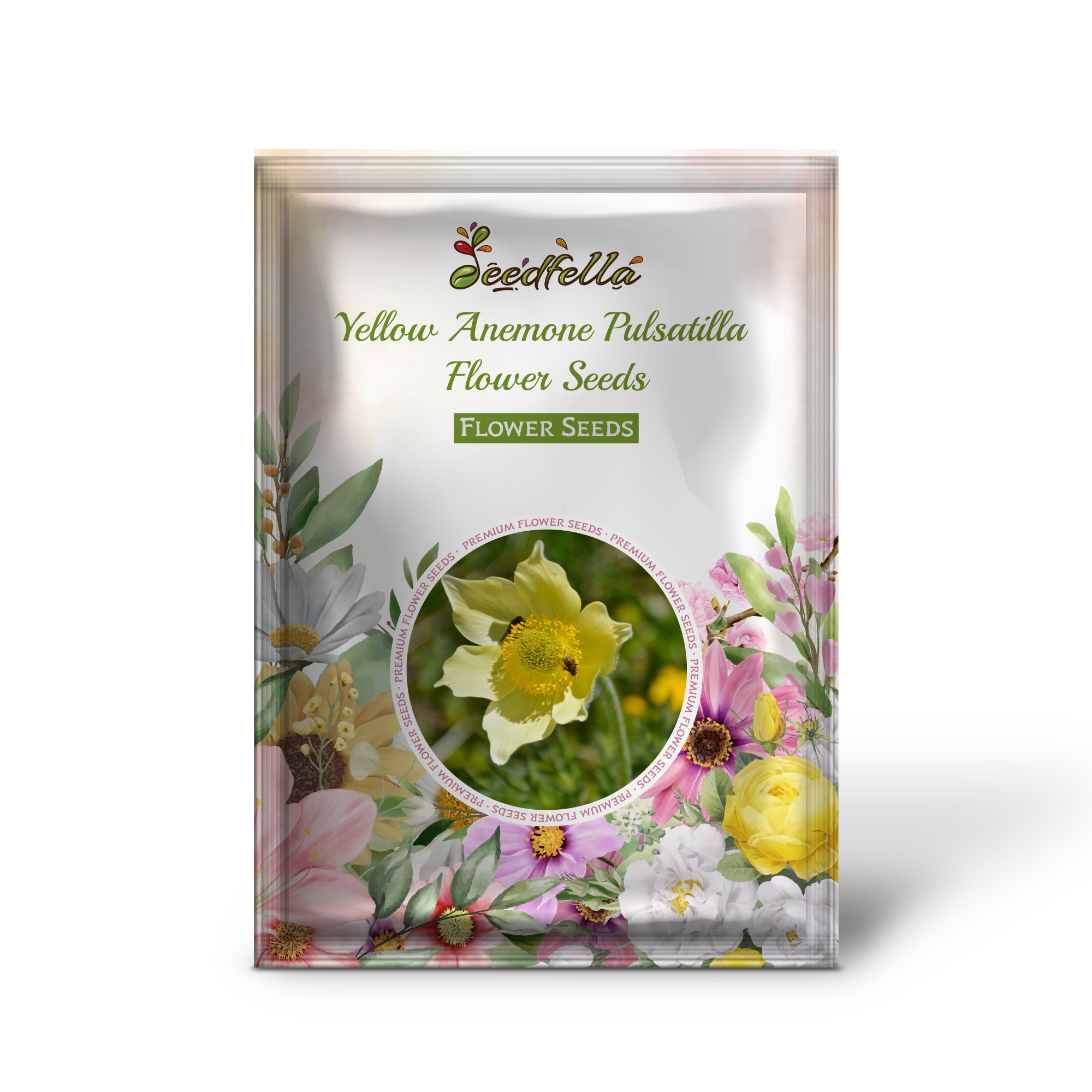 Bright Yellow Anemone Pulsatilla Blooms