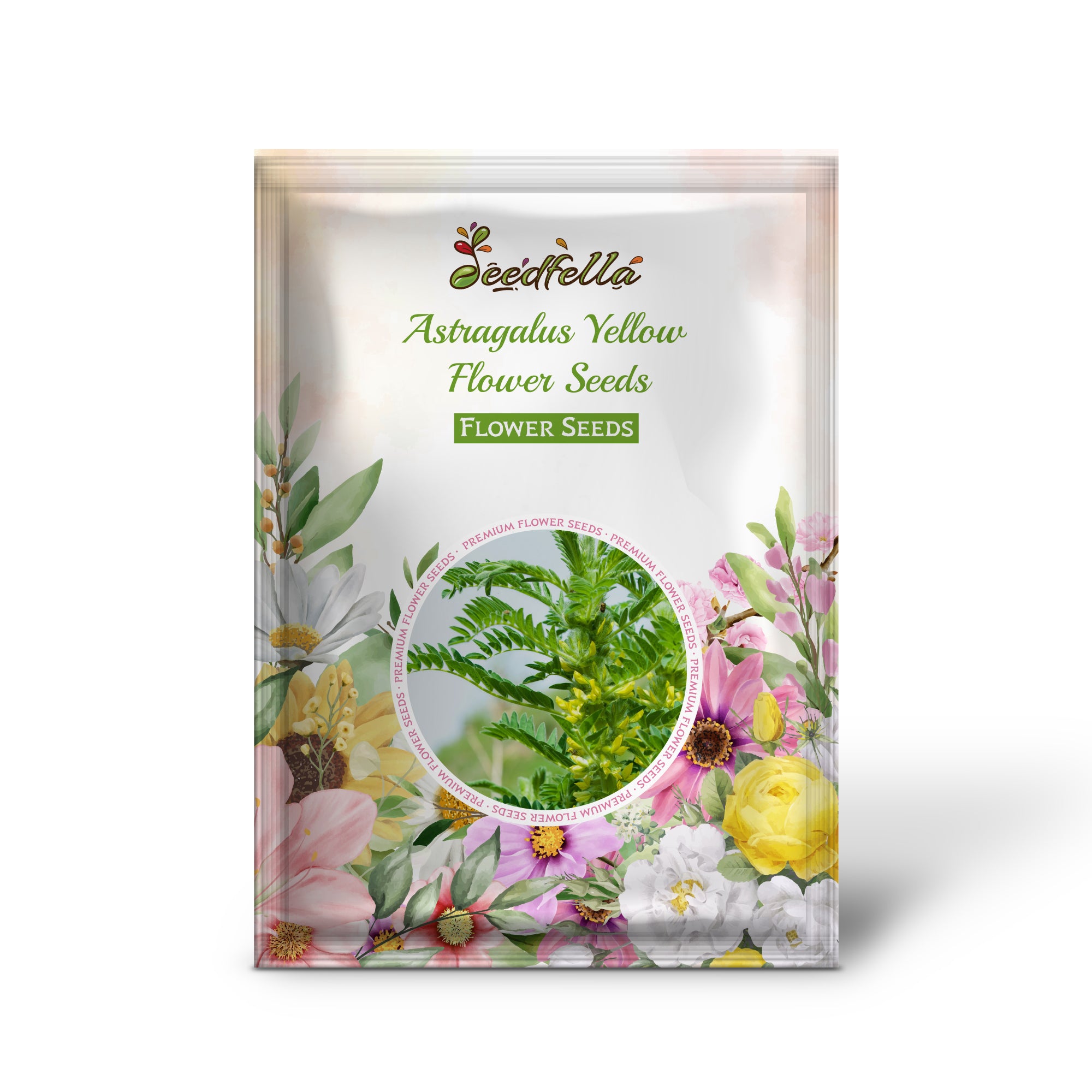 Yellow Astragalus Flower Seeds for Home Garden Planting