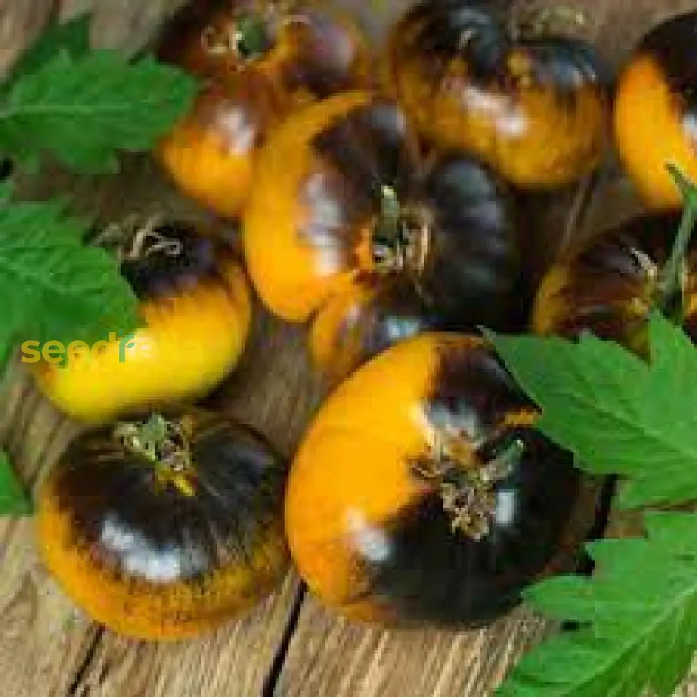 Yellow Black Tomato Seeds For Planting Vegetable Seeds