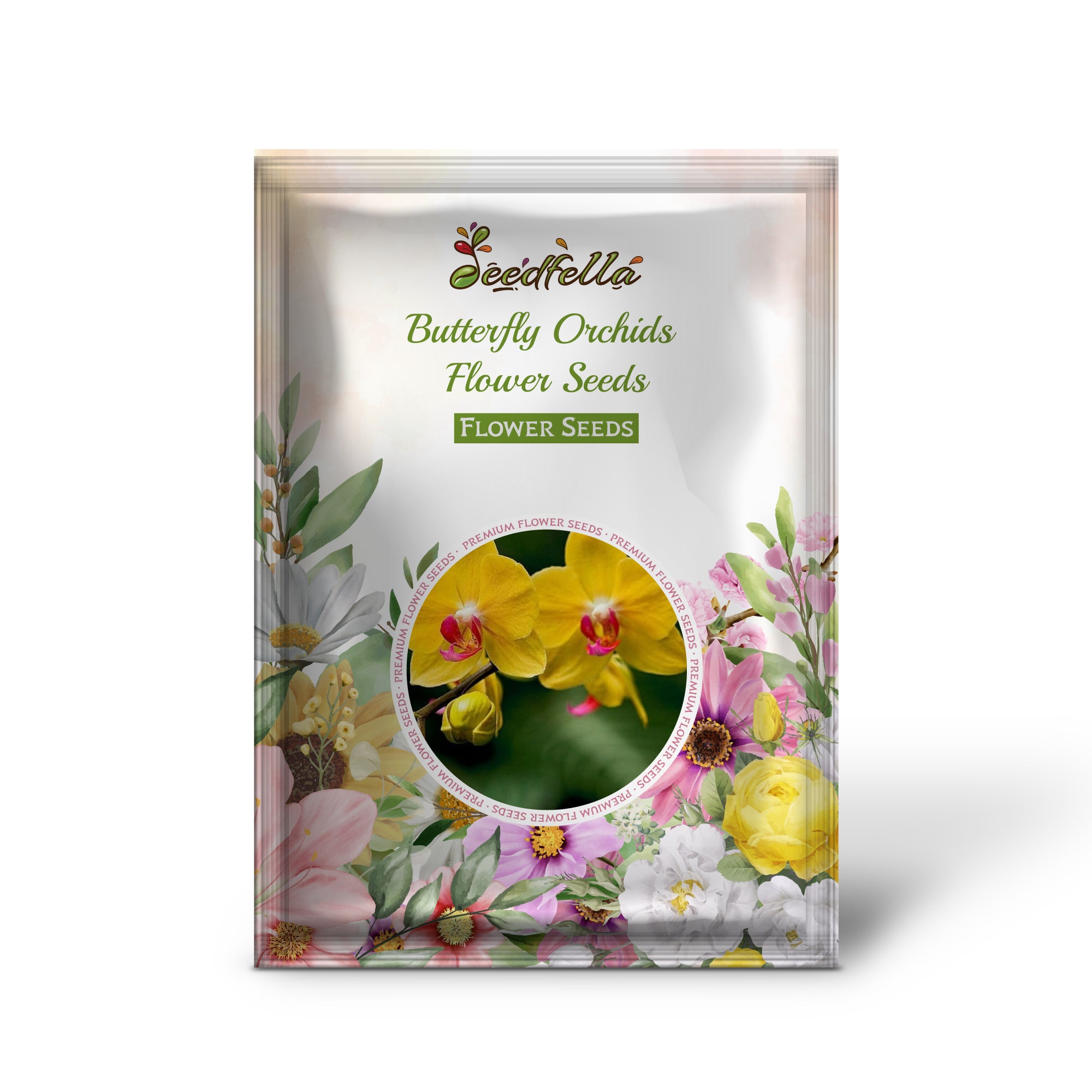 Yellow Butterfly Orchid Seeds for Home and Garden Planting