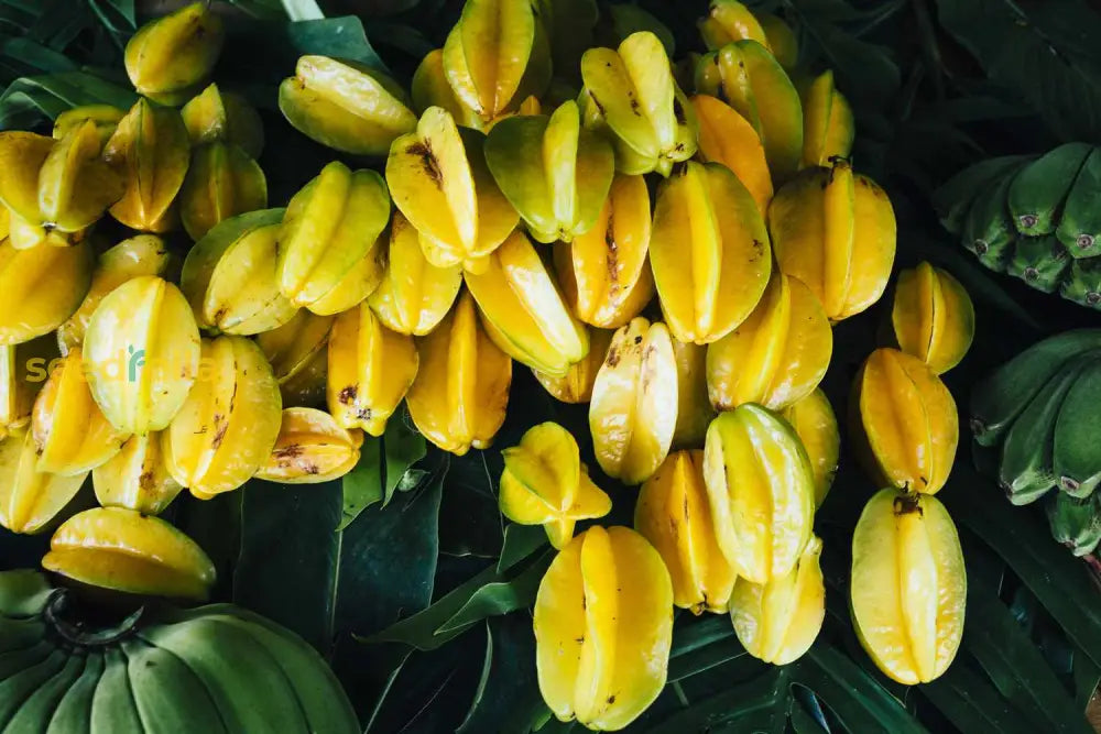 Yellow Carambola Fruit Seeds Planting Sweet