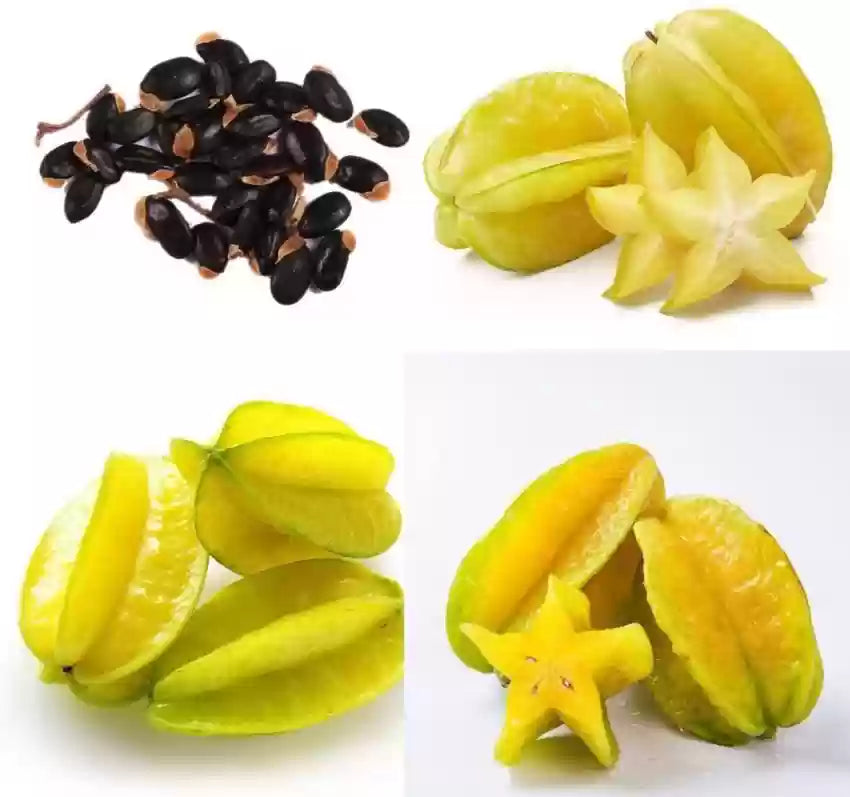Yellow Carambola Seeds for Easy Tropical Planting