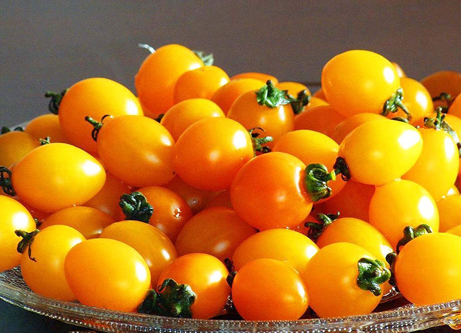 Aunt Ruby's Yellow Cherry tomatoes growing on plant