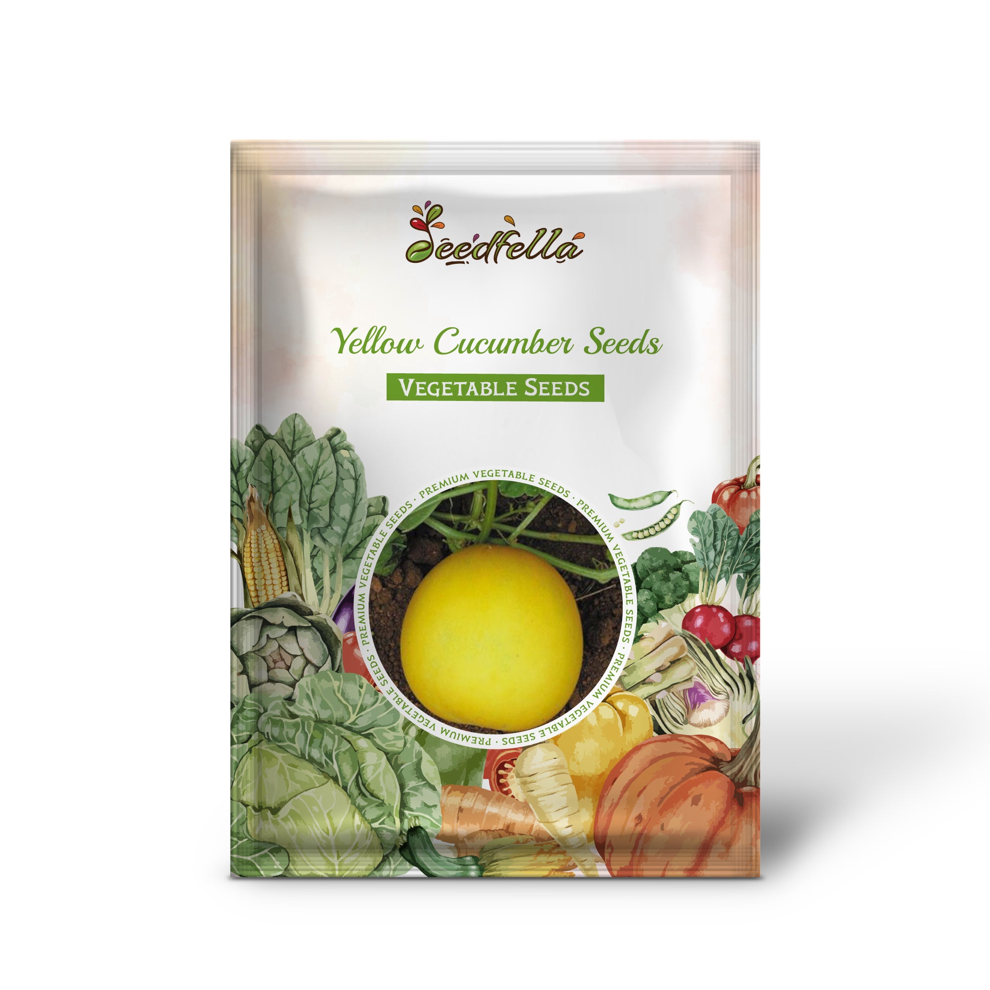 Yellow cucumber seedlings sprouting in warm garden soil