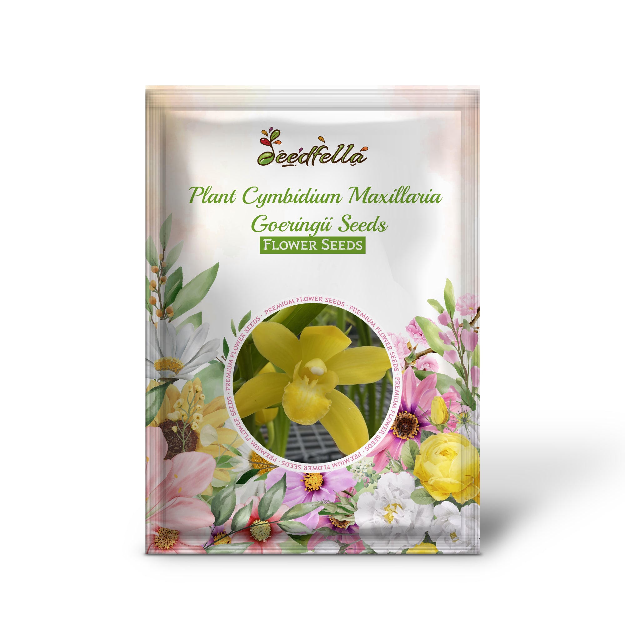 Exotic Yellow Cymbidium Flowers in Garden