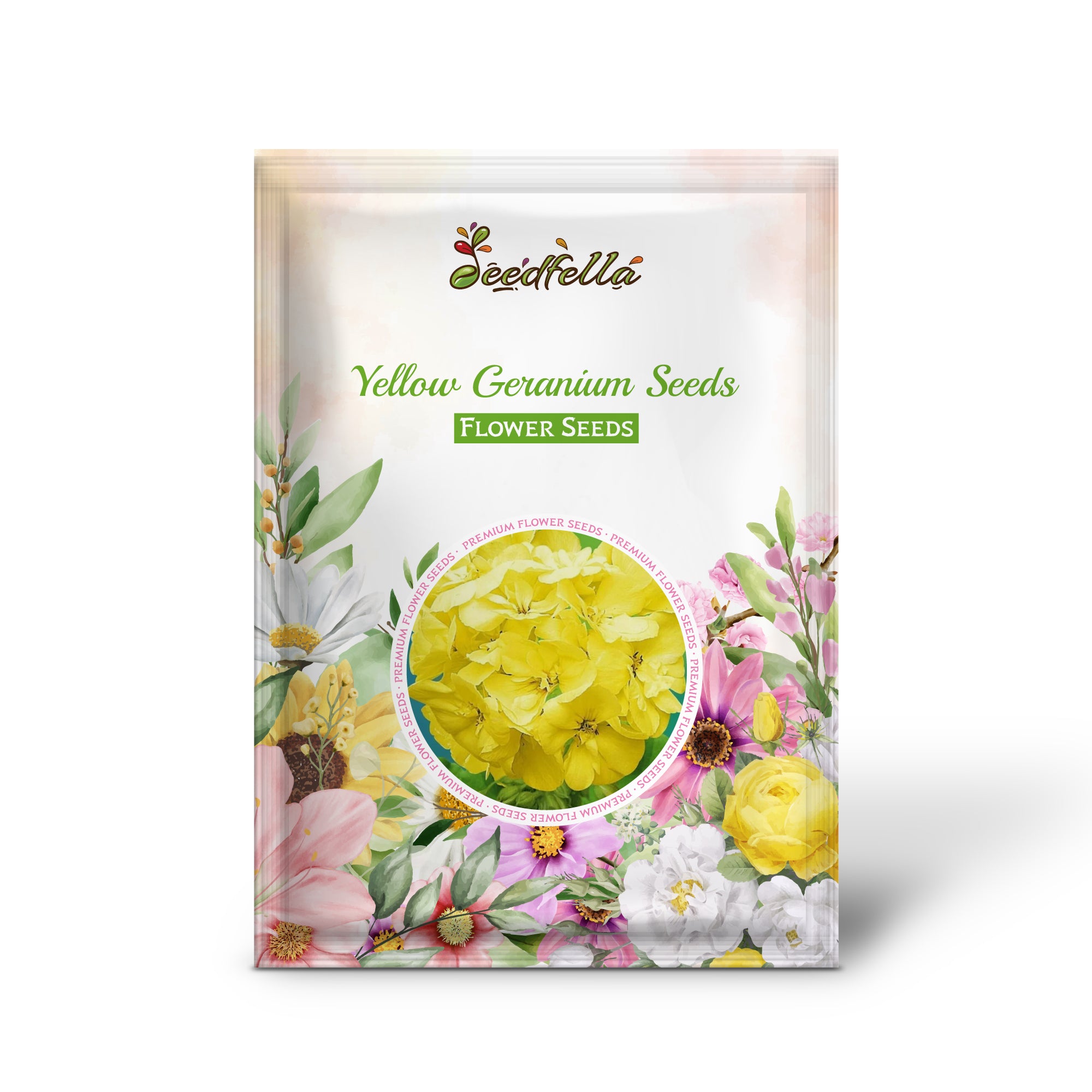 Yellow geranium seeds germinating seedlings