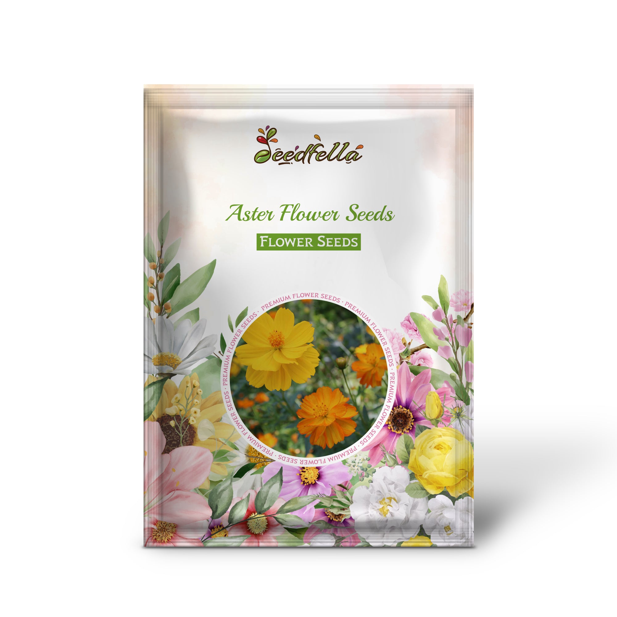 Vibrant Yellow-Green Aster Flowers in Garden