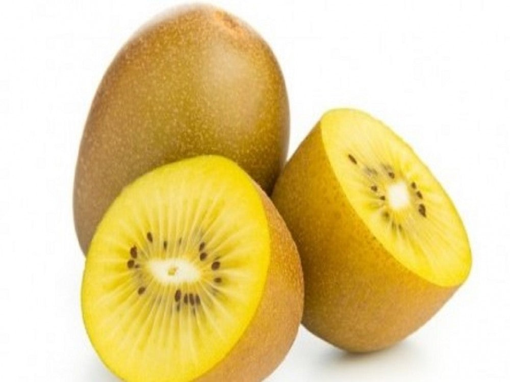 Ripe yellow-fleshed Golden Kiwifruit on a vine