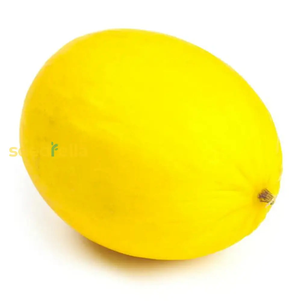 Yellow Melon Fruit Seeds Planting Sweet Vegetable Seeds