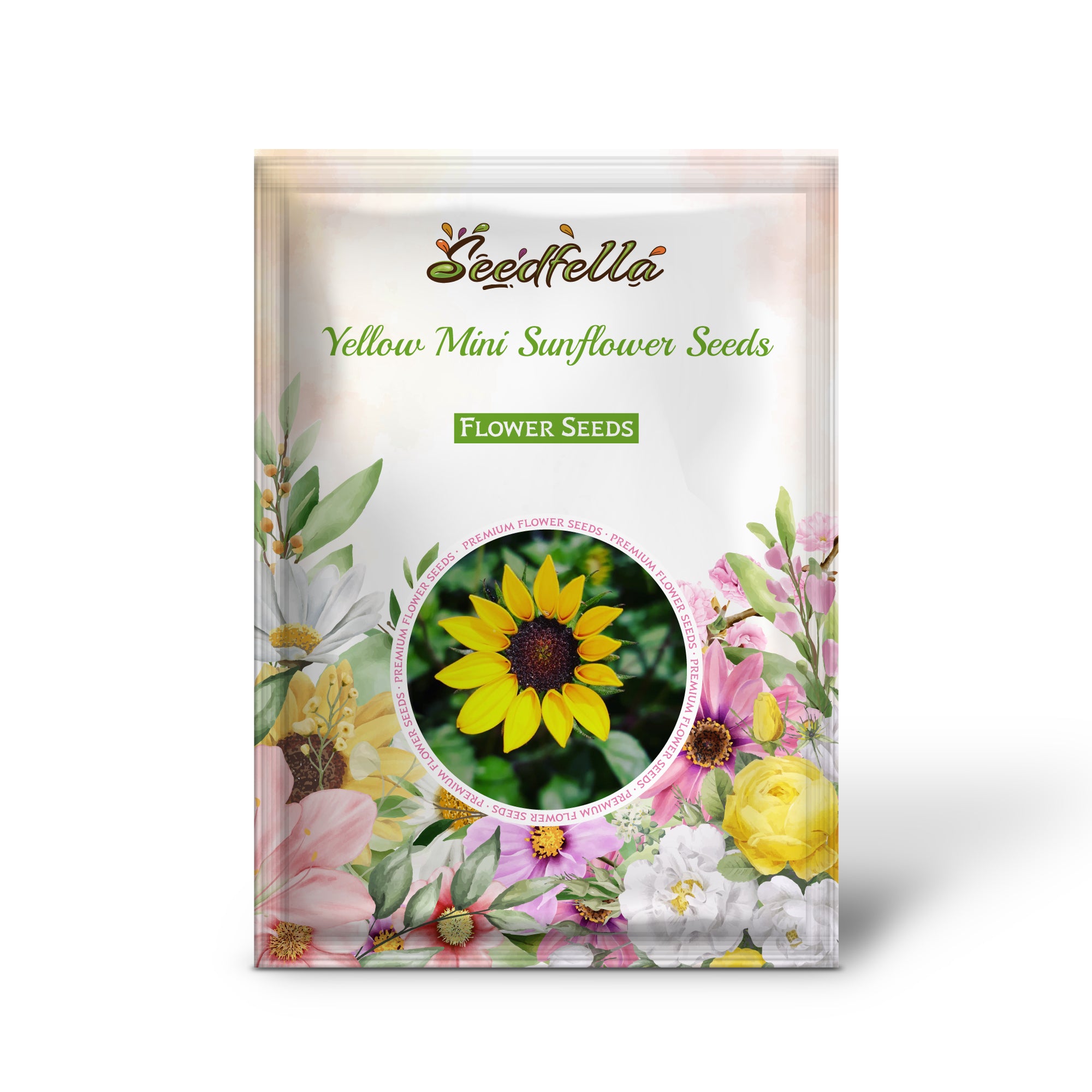 Yellow mini sunflower seeds germinating seedlings