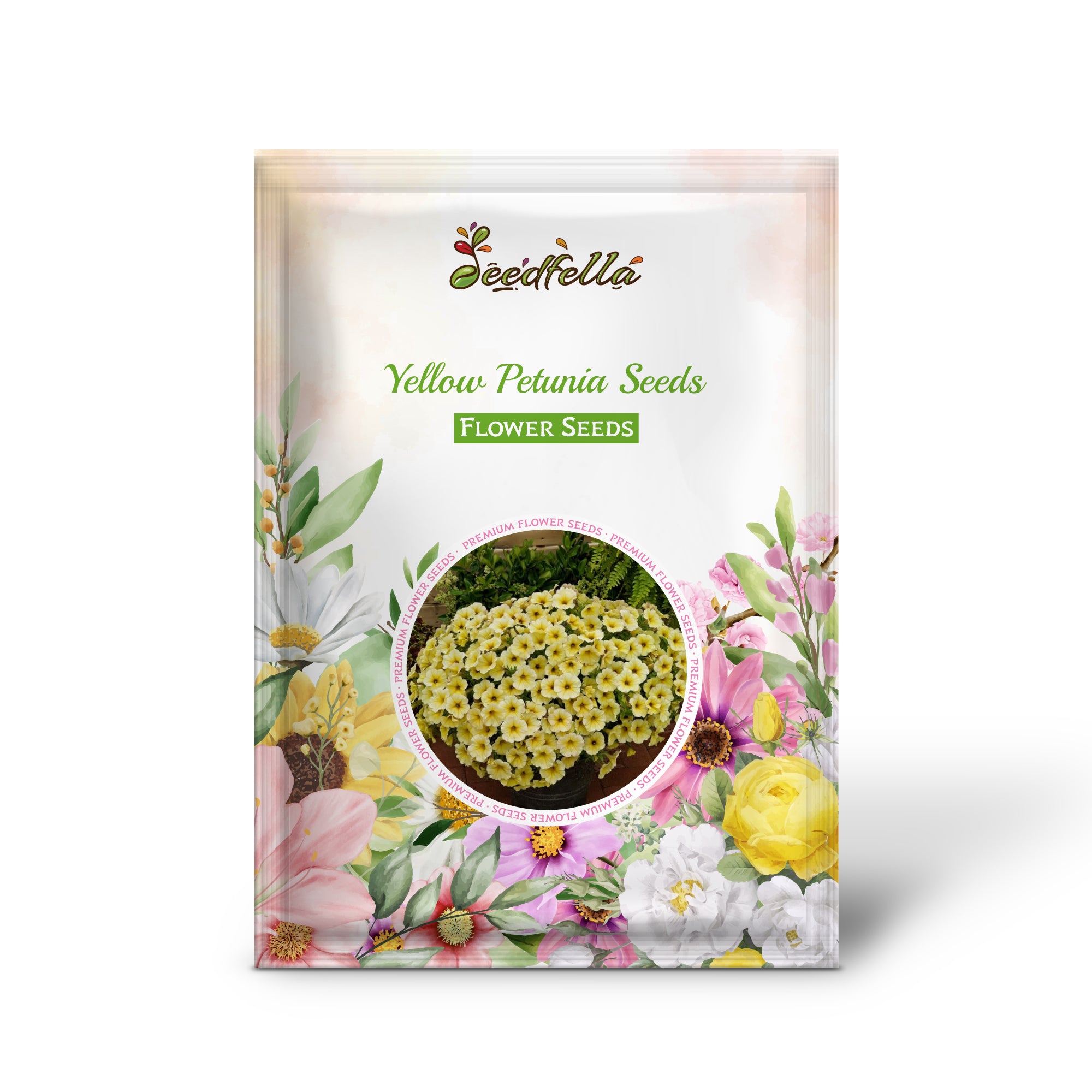 Bright Yellow Petunia flowers in full bloom