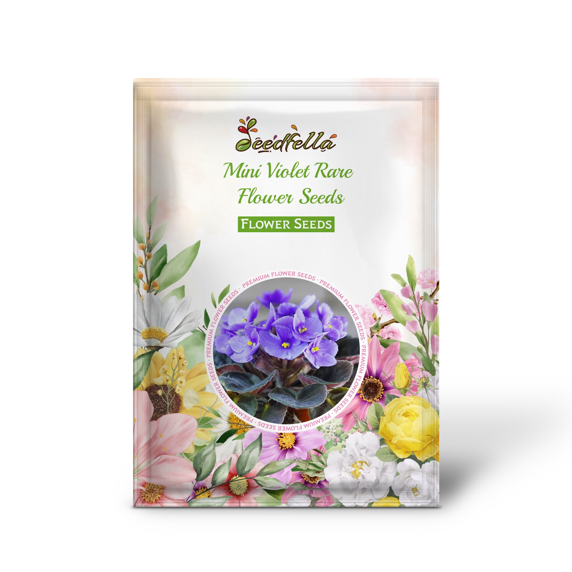 Yellow and Pink Mini Violet Flowers for Lush Gardens