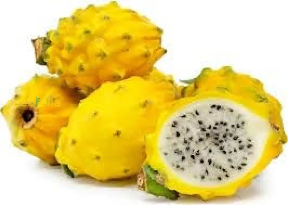 Yellow Pitaya Dragon Fruit Seeds for Planting Exotic Tropical Plants