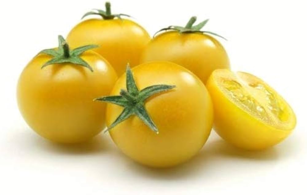 Mature Yellow Pork Chop Tomato plant with green foliage