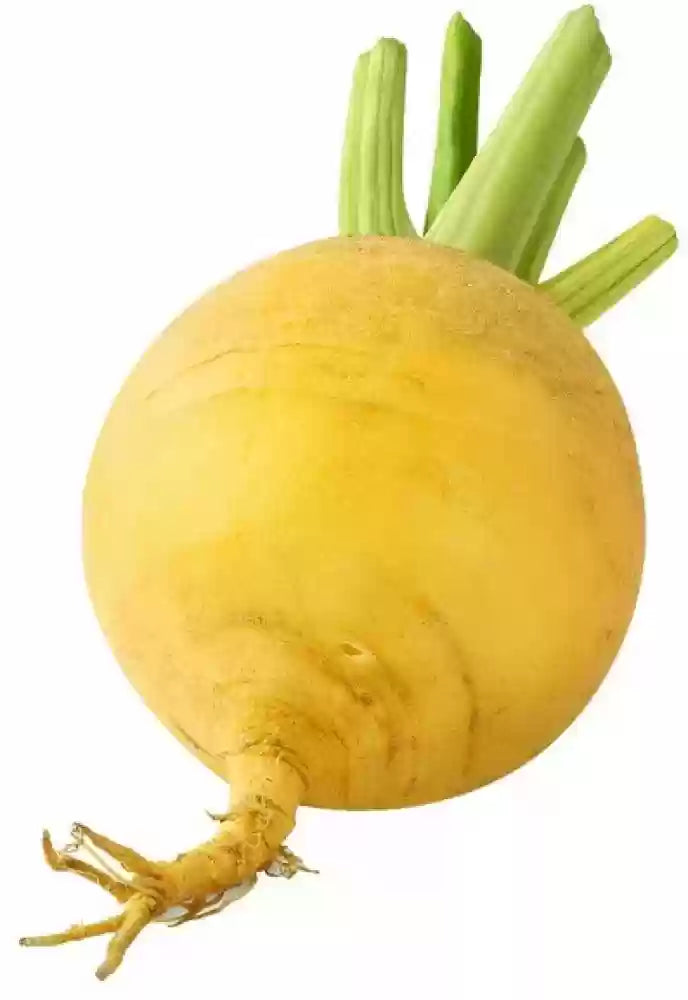 Yellow radish seeds for planting