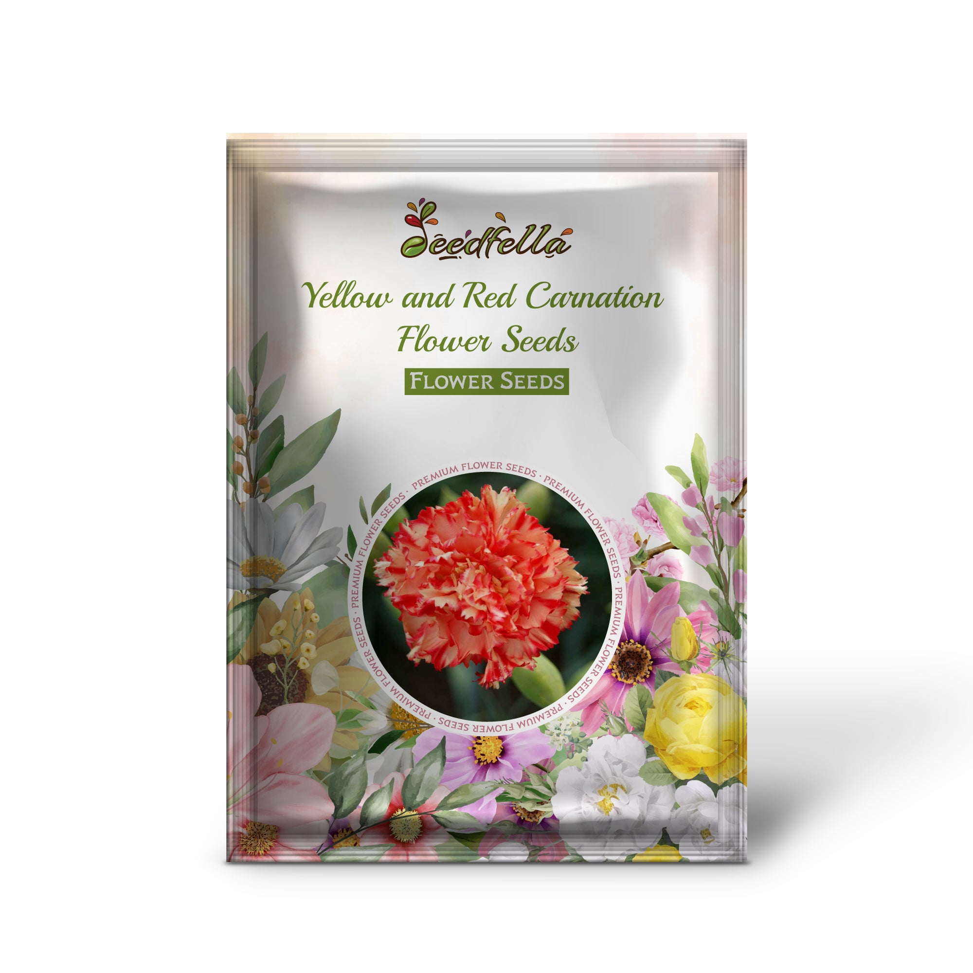 Yellow and Red Carnation Flowers in Full Bloom