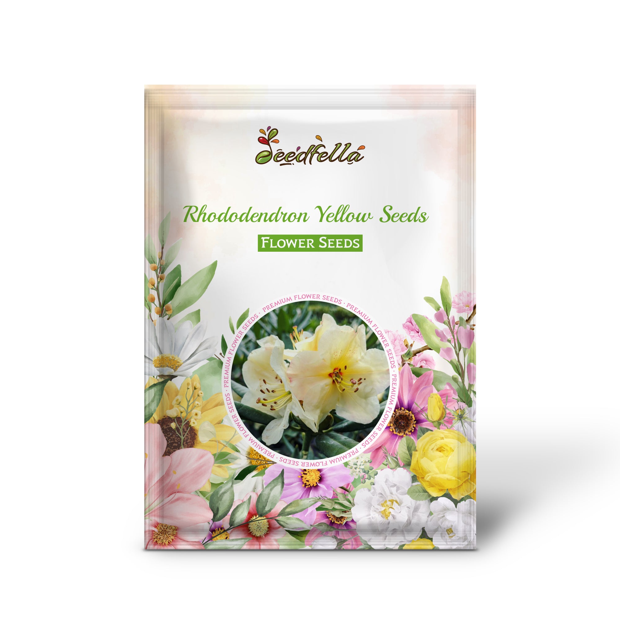 Bright yellow Rhododendron flowers in full bloom