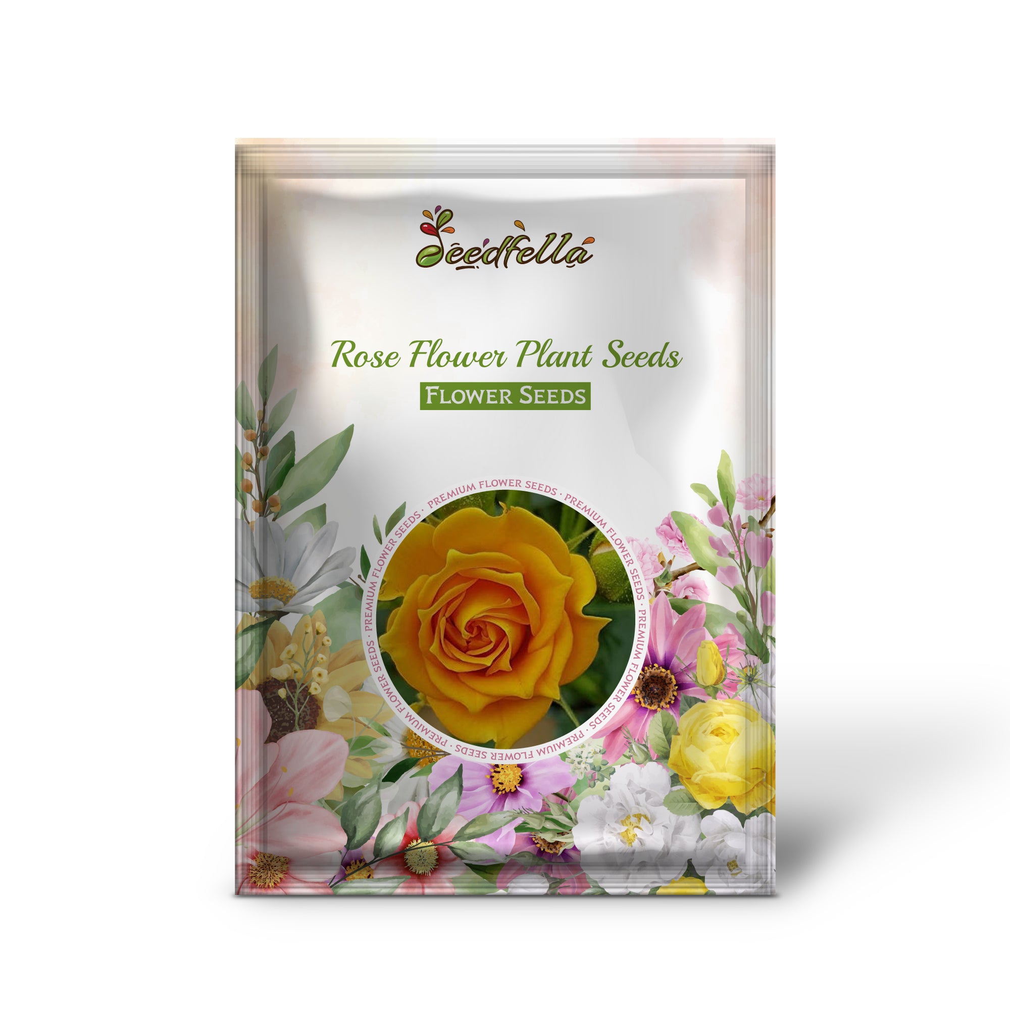 Yellow Rose flowers in full bloom