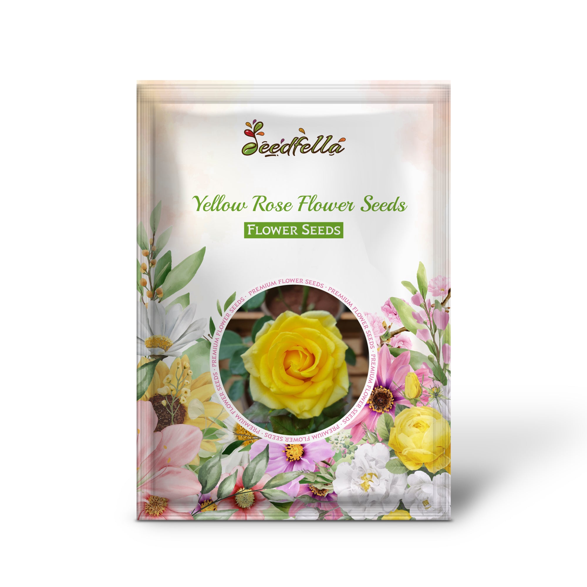 Bright Yellow Rose Blooms in Garden