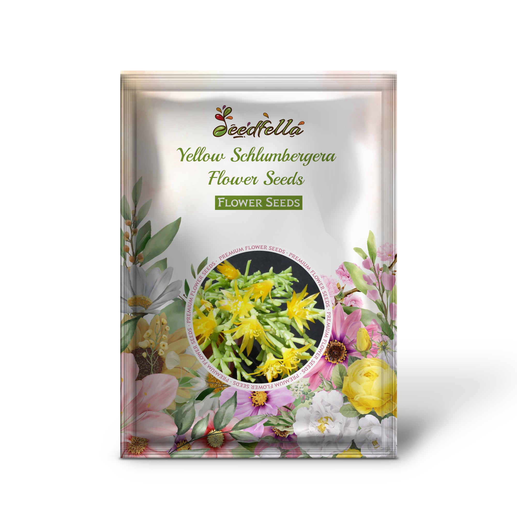 Bright Yellow Schlumbergera Blooms in Pots