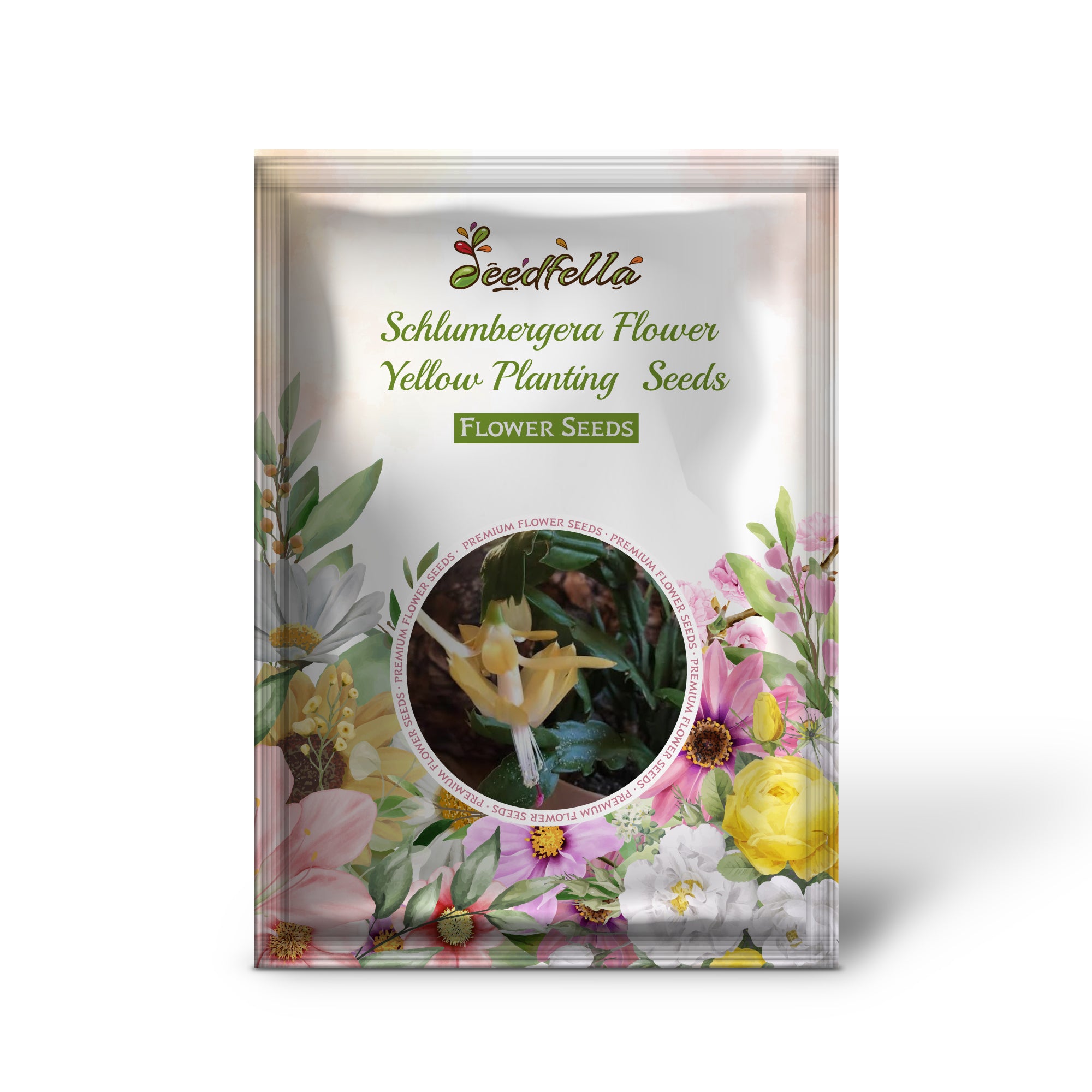 Non GMO Yellow Schlumbergera seeds for home gardening
