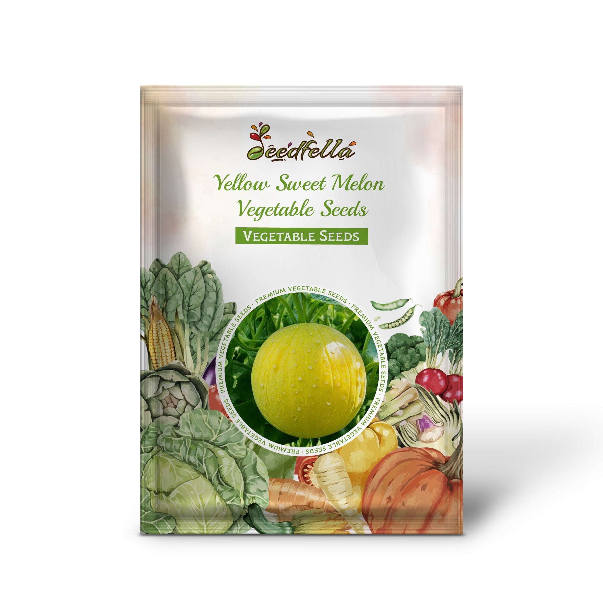 Healthy Yellow Sweet Melon seedlings ready for transplanting