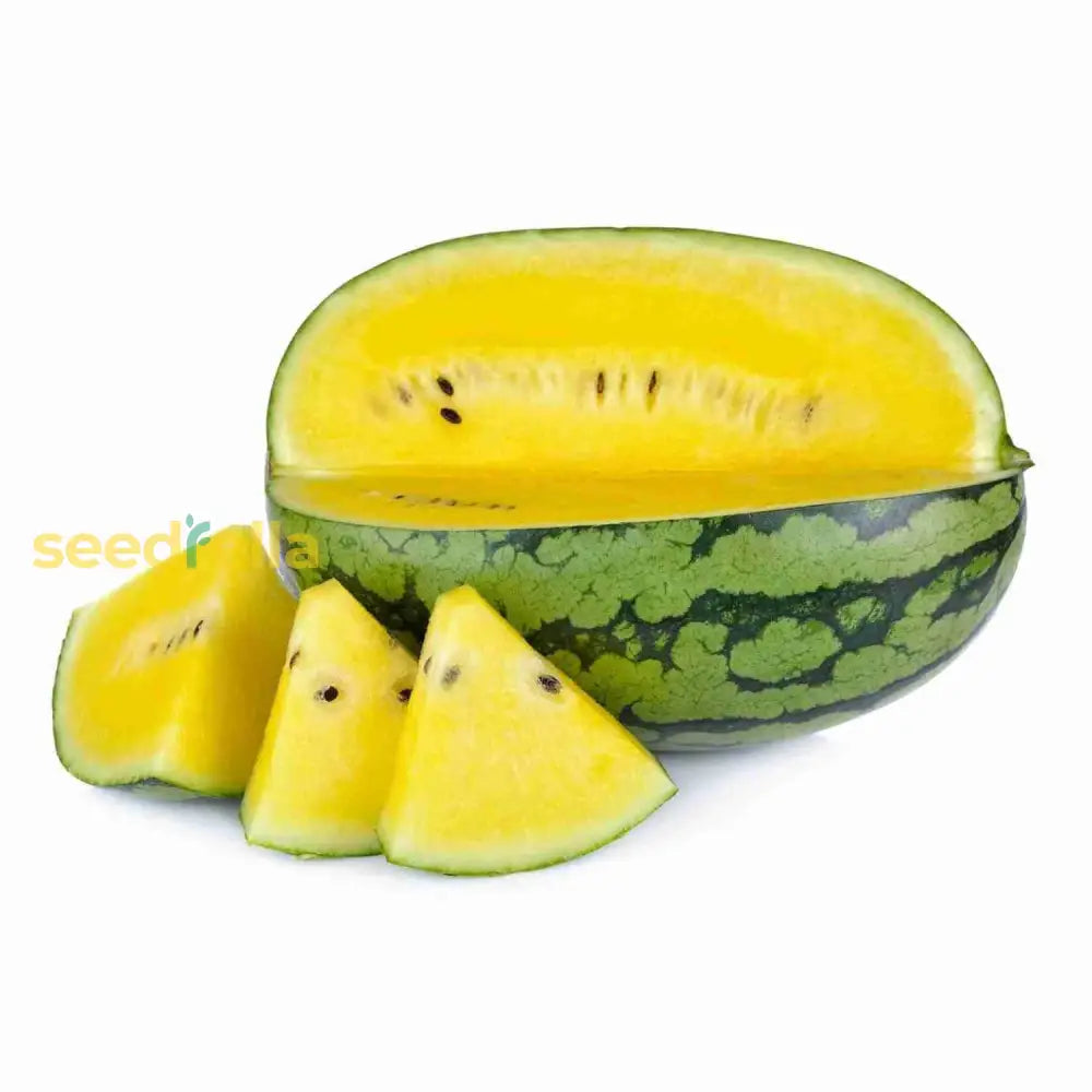 Yellow Watermelon Fruit Seeds Planting Sweet