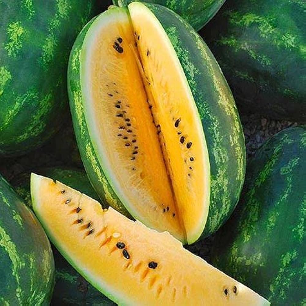 Organic Yellow Watermelon Seeds Non-GMO for planting