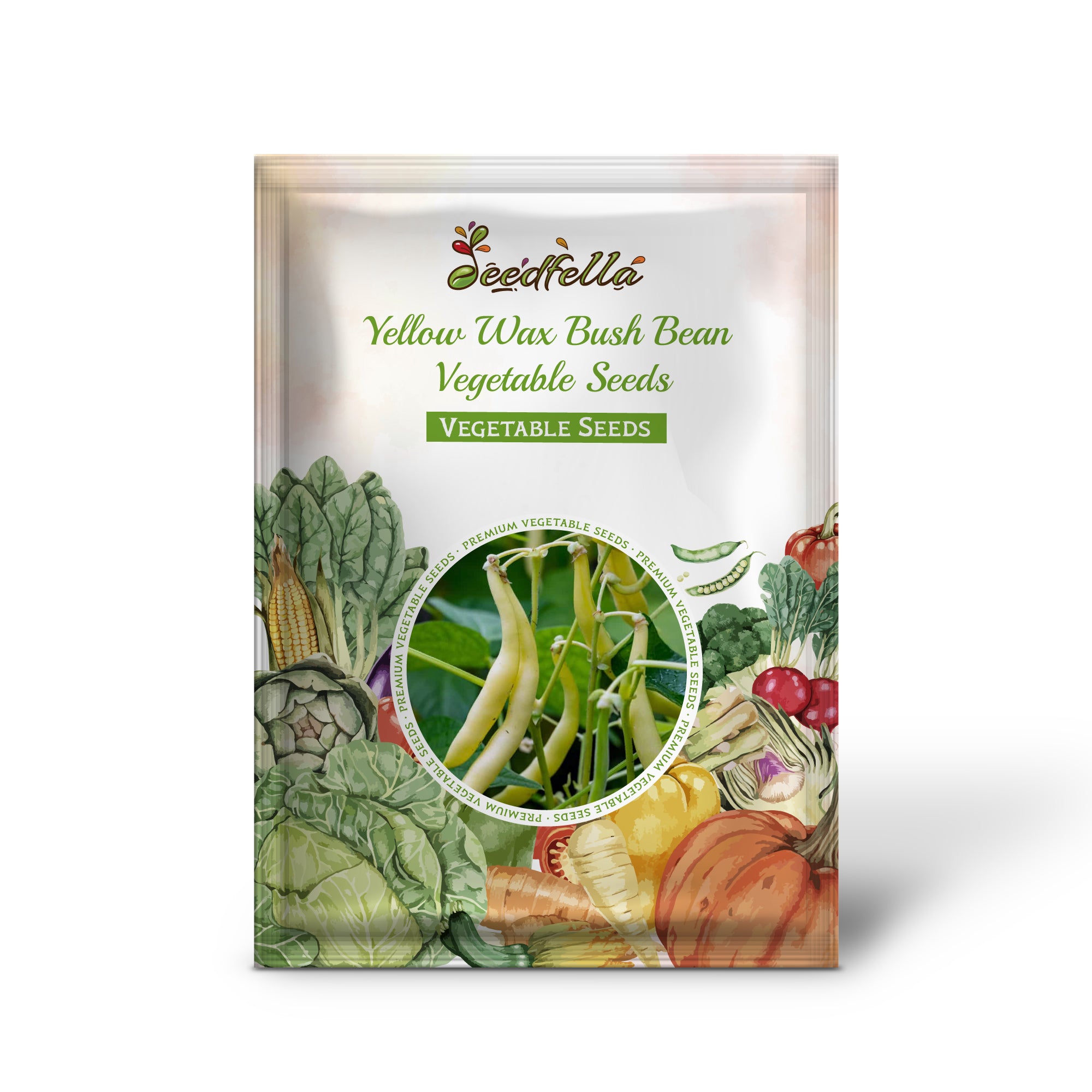 Healthy Yellow Wax Bush Bean seedlings ready for transplanting