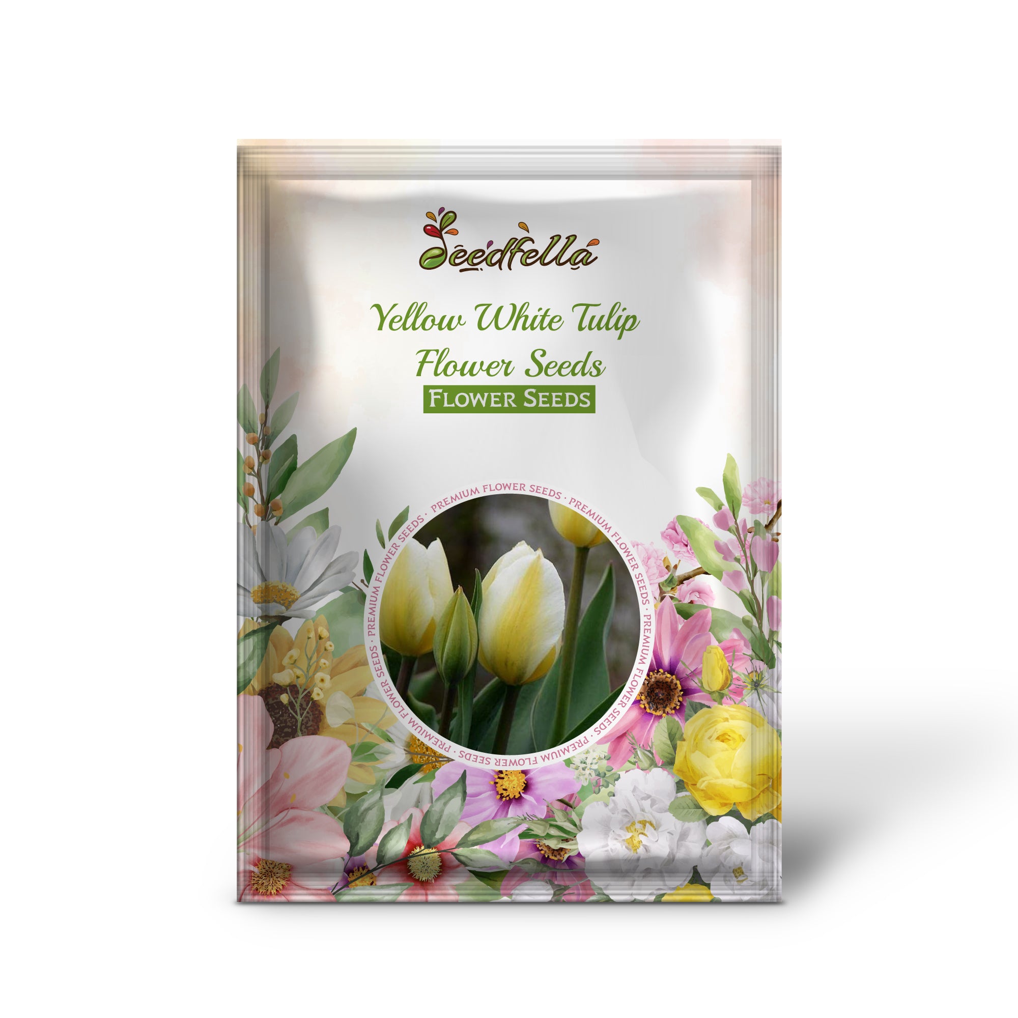 Yellow White Tulip Flower Seeds