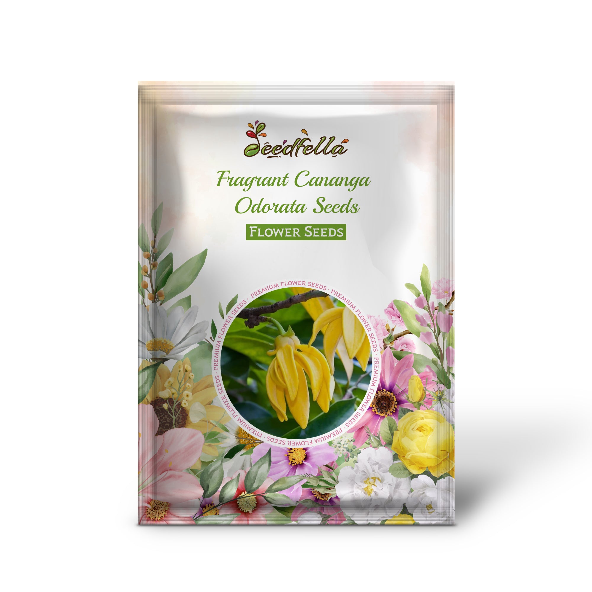 Ylang-Ylang (Cananga Odorata) Tree with Yellow Flowers