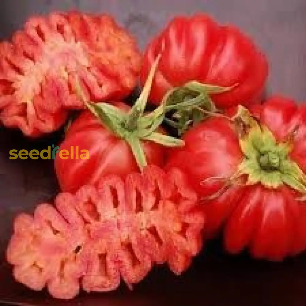 Zapotec Tomato Vegetable Seeds Planting Pack