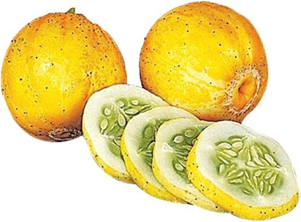 Zesty lemon cucumber plants grown from True Lemon seeds