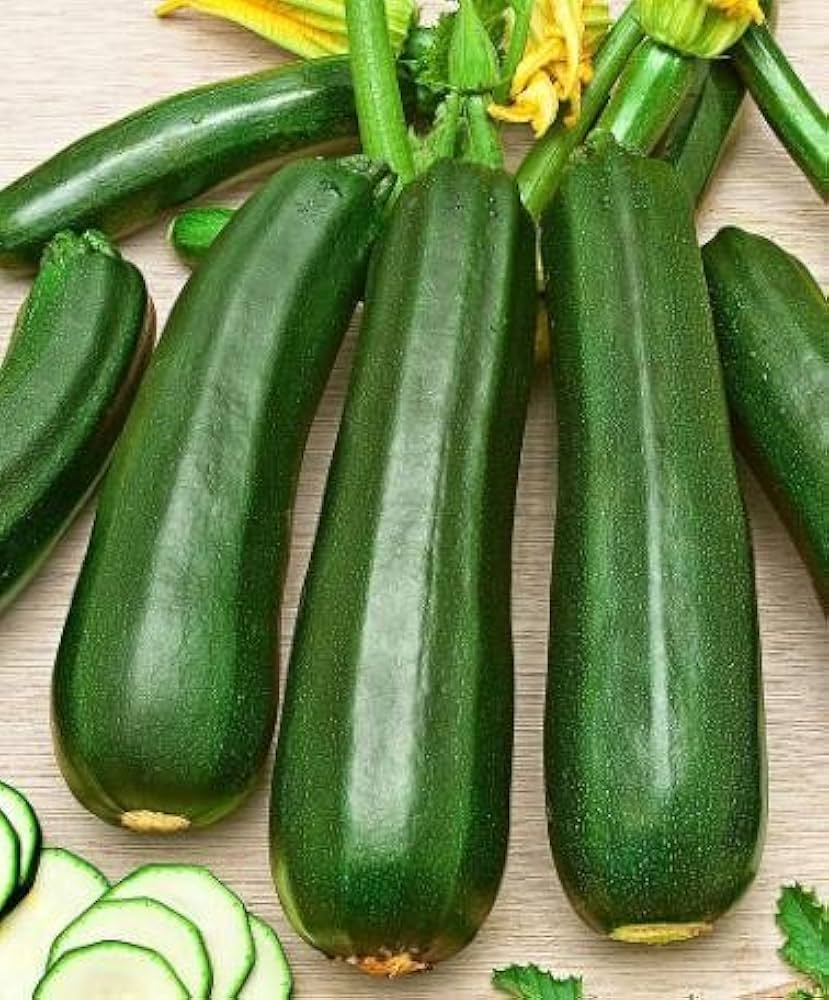 Zucchini summer squash seeds for home gardens