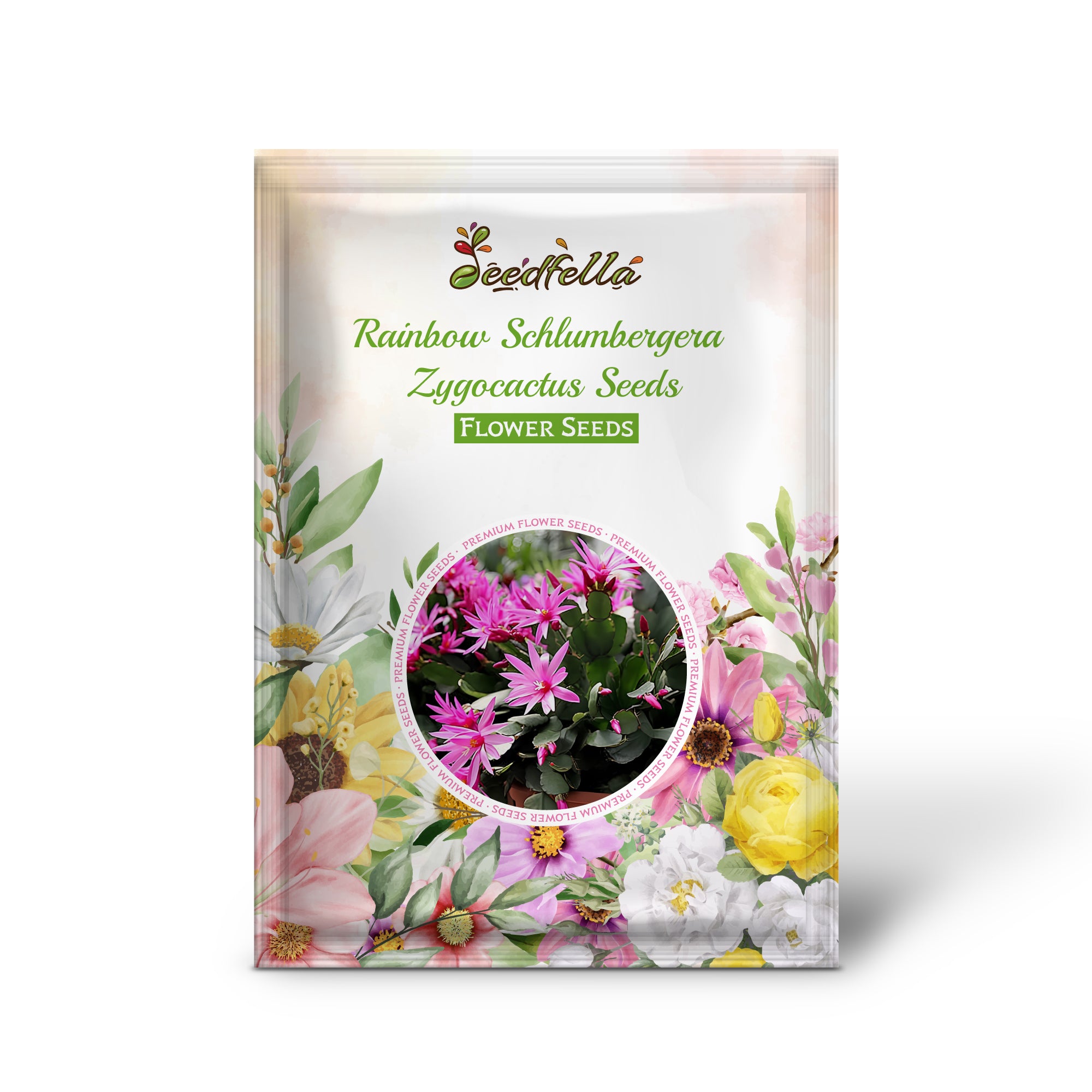 Rainbow Zygocactus flowers in vibrant colors