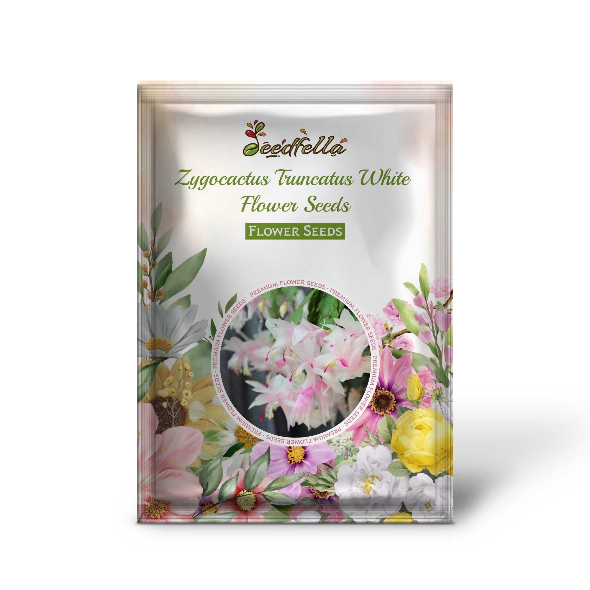 White Zygocactus Truncatus Seeds for Gardening and Indoor Planting